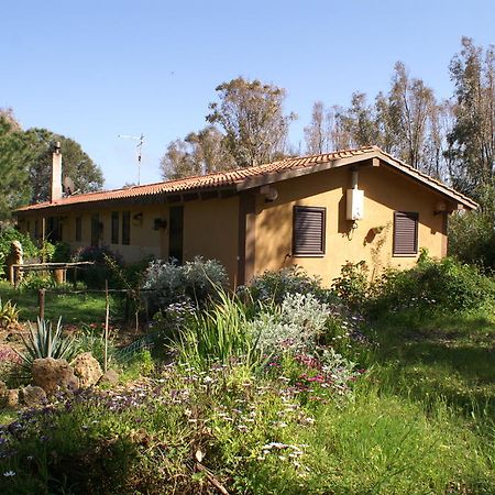 سان جيوفاني دي سينيس Tharros B&B المظهر الخارجي الصورة