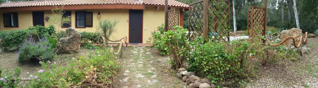 سان جيوفاني دي سينيس Tharros B&B المظهر الخارجي الصورة